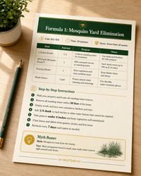 Formula page mockup showing action-first layout